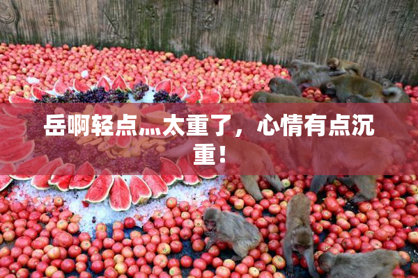 岳啊轻点灬太重了，心情有点沉重！