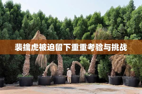裴擒虎被迫留下重重考验与挑战
