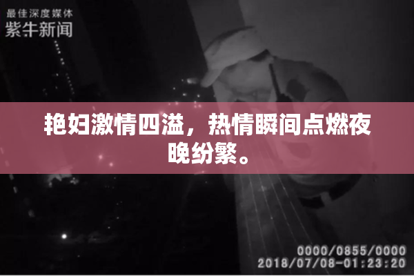 艳妇激情四溢，热情瞬间点燃夜晚纷繁。