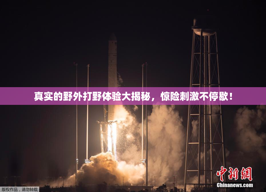 真实的野外打野体验大揭秘，惊险刺激不停歇！