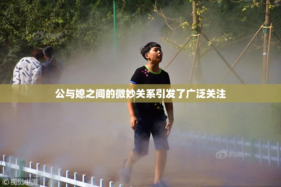 公与媳之间的微妙关系引发了广泛关注