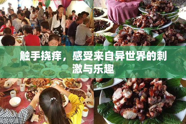 触手挠痒，感受来自异世界的刺激与乐趣