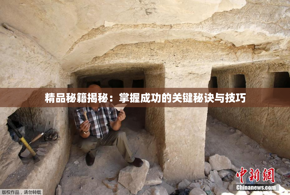 精品秘籍揭秘：掌握成功的关键秘诀与技巧