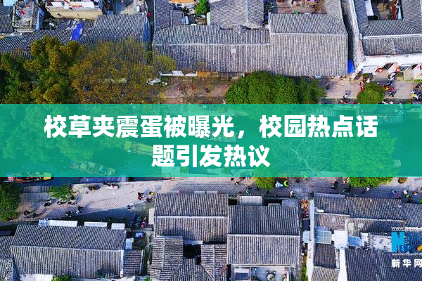 校草夹震蛋被曝光，校园热点话题引发热议