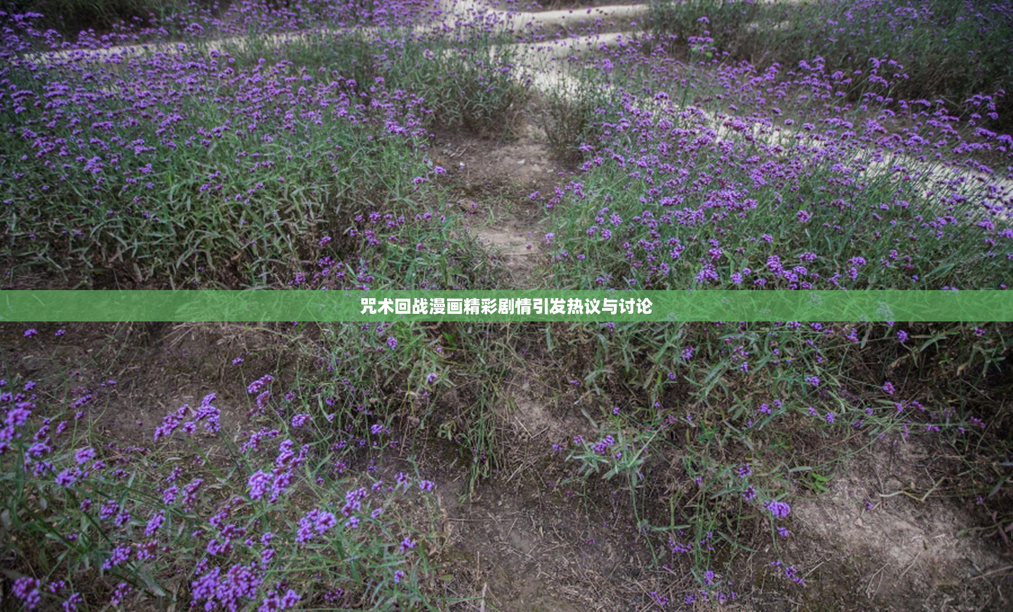 咒术回战漫画精彩剧情引发热议与讨论