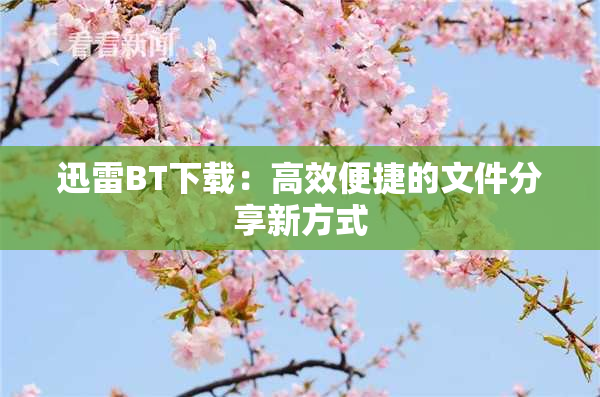 迅雷BT下载：高效便捷的文件分享新方式