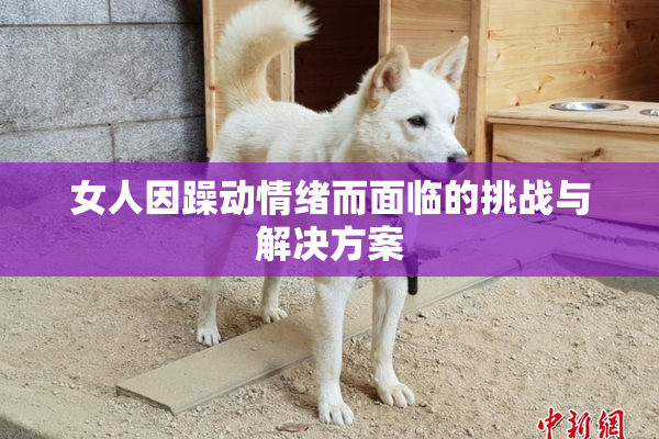 女人因躁动情绪而面临的挑战与解决方案