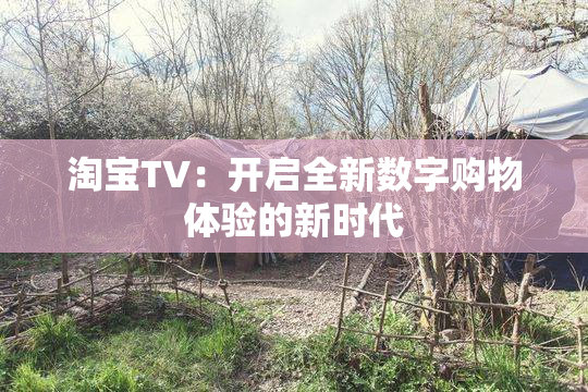 淘宝TV：开启全新数字购物体验的新时代
