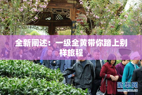 全新阐述：一级全黄带你踏上别样旅程