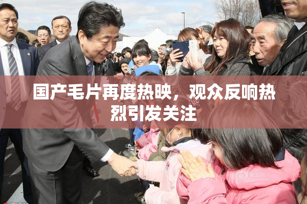 国产毛片再度热映，观众反响热烈引发关注