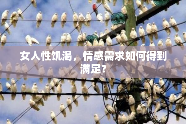 女人性饥渴，情感需求如何得到满足？