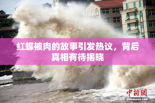 红蝶被肉的故事引发热议，背后真相有待揭晓
