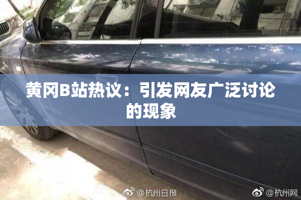 黄冈B站热议：引发网友广泛讨论的现象