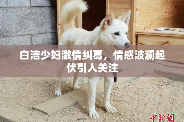 白洁少妇激情纠葛，情感波澜起伏引人关注