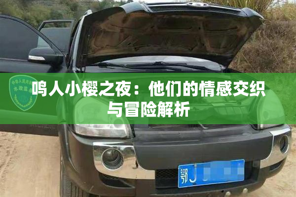 鸣人小樱之夜：他们的情感交织与冒险解析