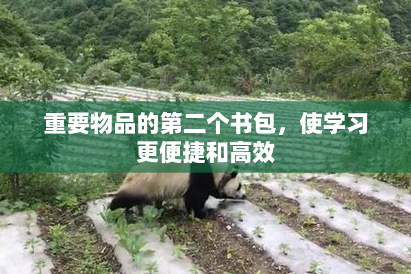 重要物品的第二个书包，使学习更便捷和高效