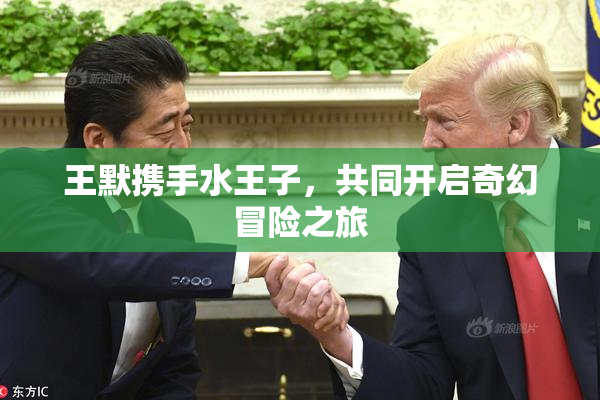 王默携手水王子，共同开启奇幻冒险之旅