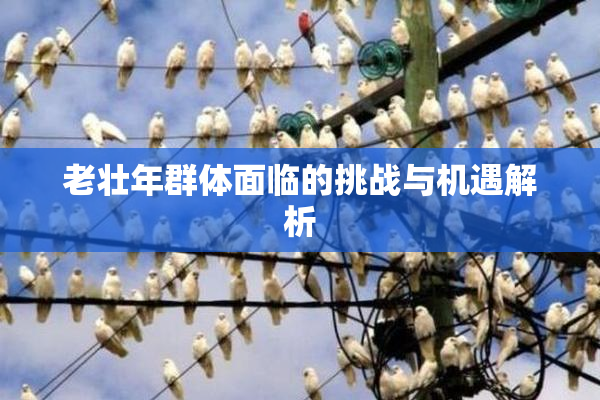 老壮年群体面临的挑战与机遇解析