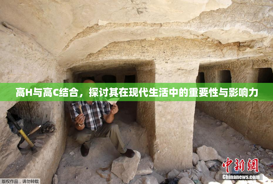 高H与高C结合，探讨其在现代生活中的重要性与影响力