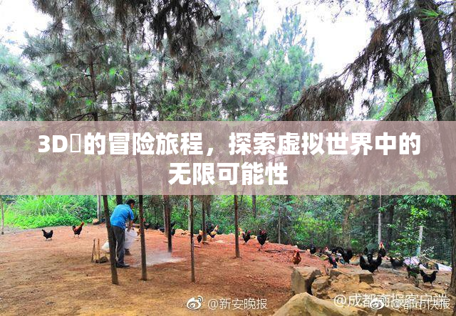 3D姉的冒险旅程，探索虚拟世界中的无限可能性