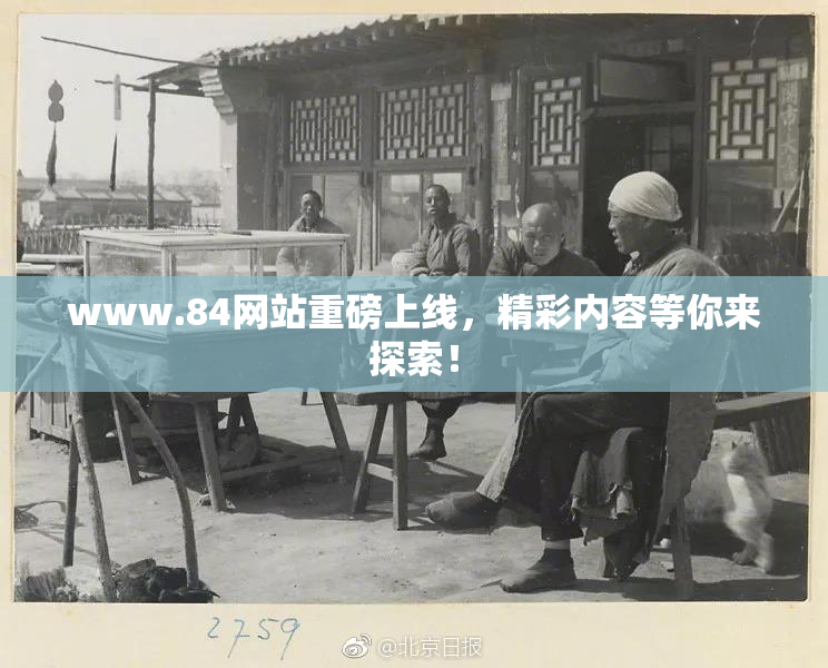 www.84网站重磅上线，精彩内容等你来探索！