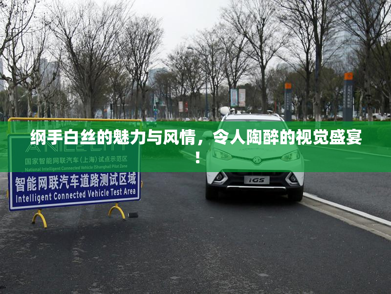 纲手白丝的魅力与风情，令人陶醉的视觉盛宴！