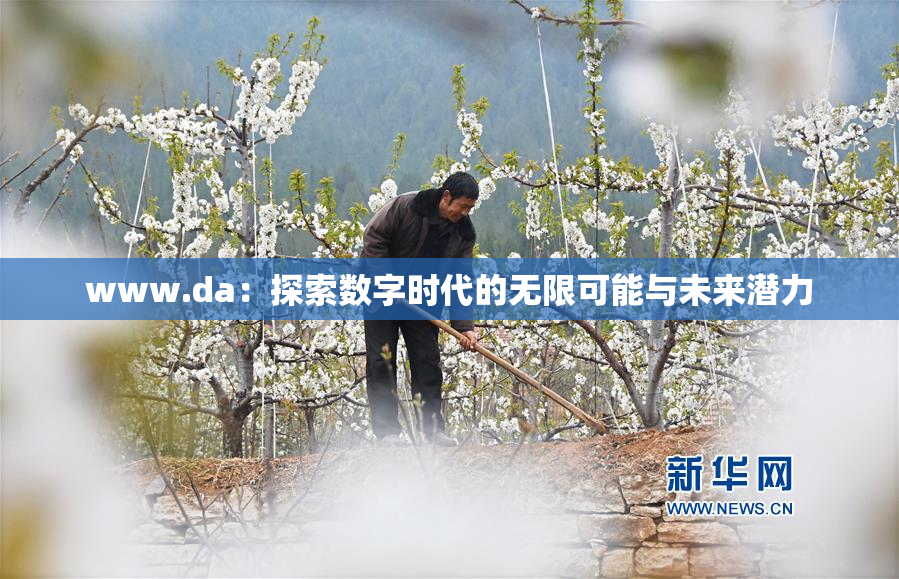 www.da：探索数字时代的无限可能与未来潜力