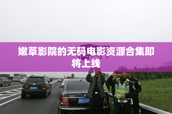 嫩草影院的无码电影资源合集即将上线
