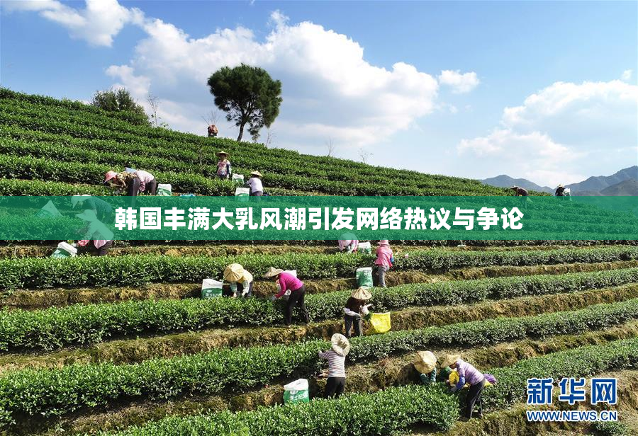 韩国丰满大乳风潮引发网络热议与争论