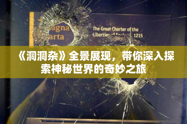 《洞洞杂》全景展现，带你深入探索神秘世界的奇妙之旅