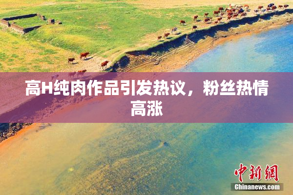 高H纯肉作品引发热议，粉丝热情高涨