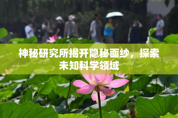 神秘研究所揭开隐秘面纱，探索未知科学领域