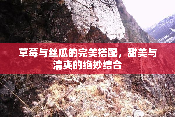 草莓与丝瓜的完美搭配，甜美与清爽的绝妙结合