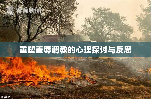 重塑羞辱调教的心理探讨与反思