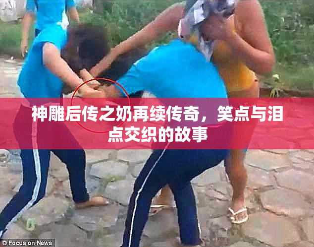 神雕后传之奶再续传奇，笑点与泪点交织的故事
