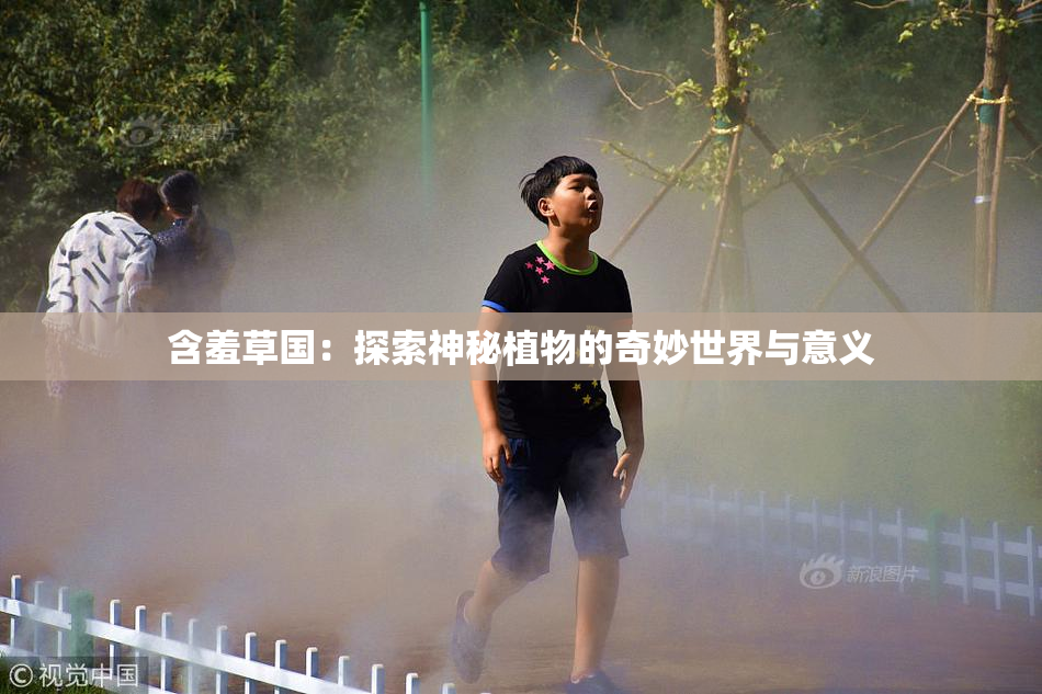 含羞草国：探索神秘植物的奇妙世界与意义