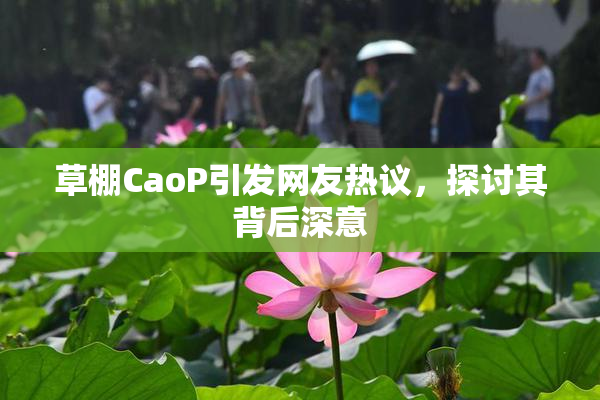 草棚CaoP引发网友热议，探讨其背后深意