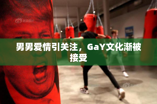 男男爱情引关注，GaY文化渐被接受