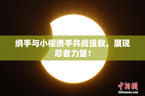 纲手与小樱携手共战强敌，展现忍者力量！