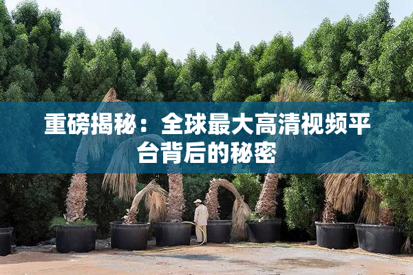 重磅揭秘：全球最大高清视频平台背后的秘密