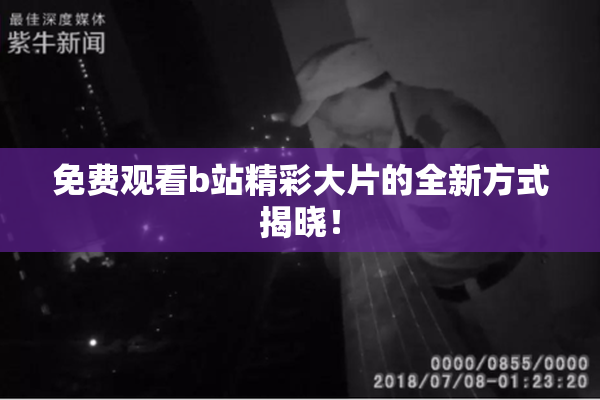 免费观看b站精彩大片的全新方式揭晓！