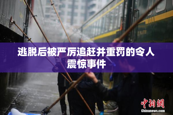 逃脱后被严厉追赶并重罚的令人震惊事件