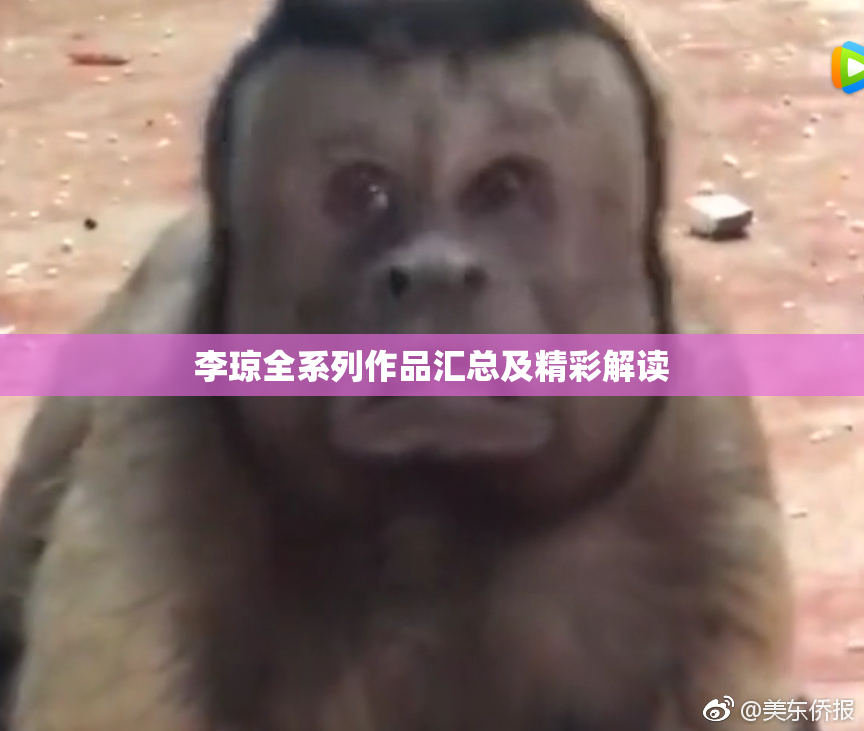 李琼全系列作品汇总及精彩解读