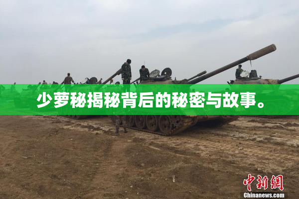 少萝秘揭秘背后的秘密与故事。