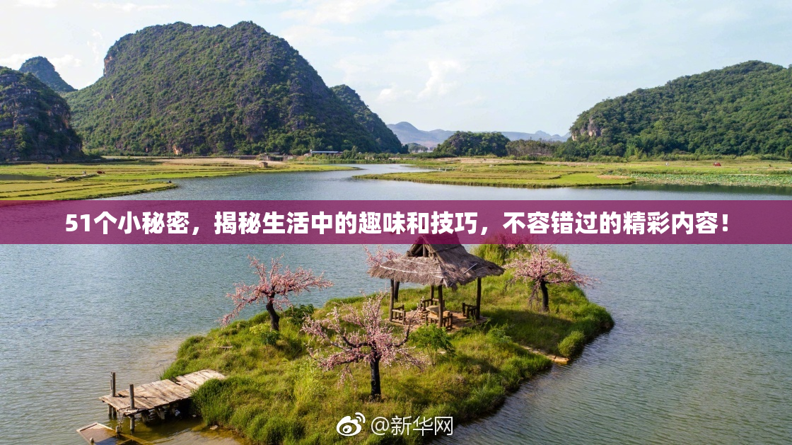 51个小秘密，揭秘生活中的趣味和技巧，不容错过的精彩内容！