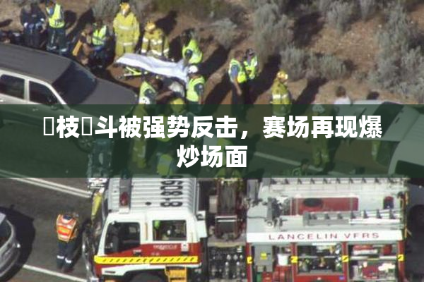 狛枝凪斗被强势反击，赛场再现爆炒场面