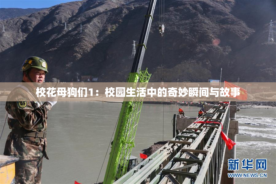 校花母狗们1：校园生活中的奇妙瞬间与故事