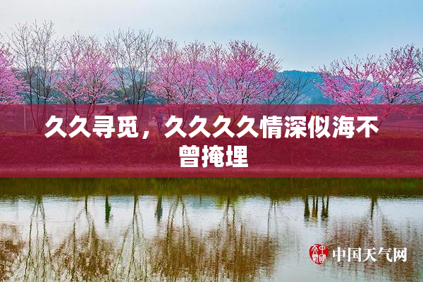 久久寻觅，久久久久情深似海不曾掩埋