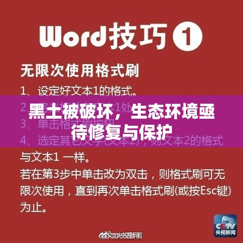 黑土被破坏，生态环境亟待修复与保护