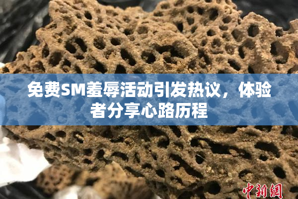 免费SM羞辱活动引发热议，体验者分享心路历程